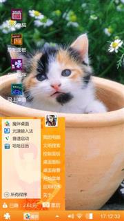 花猫
