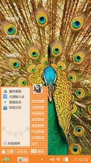 孔雀开屏