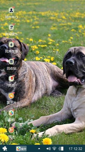 宠儿