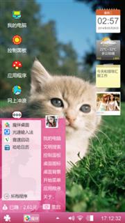 可爱猫咪
