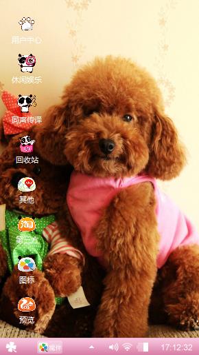 泰迪犬
