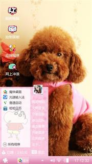 泰迪犬