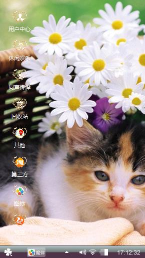 小花猫咪