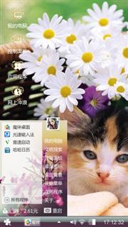 小花猫咪