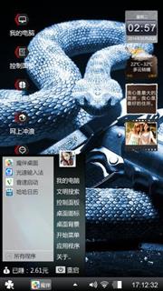 银蛇
