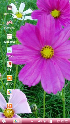 瓜叶菊