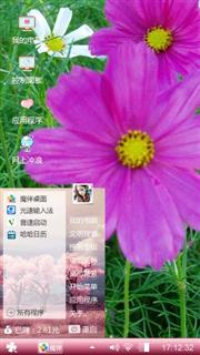 瓜叶菊