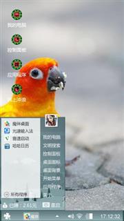 金刚鹦鹉