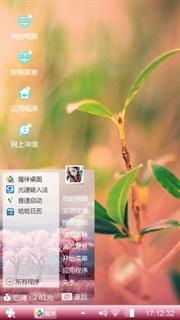 枝丫