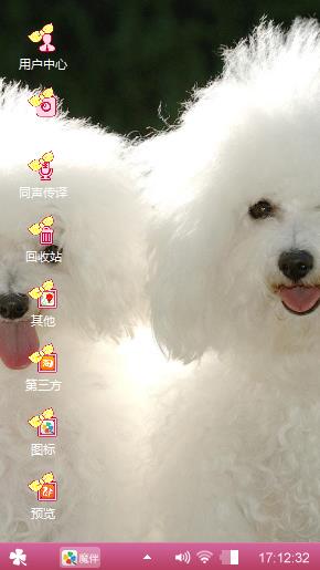比熊犬