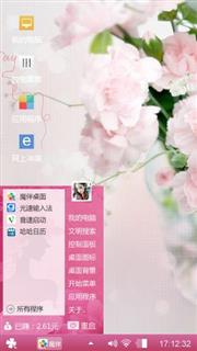 康乃馨