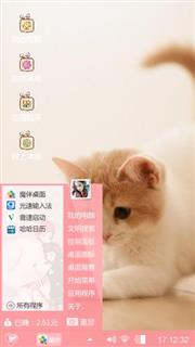 可爱小猫咪