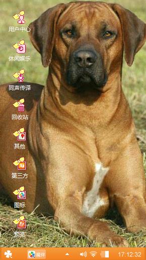 狗狗