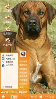 狗狗