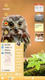 呆望