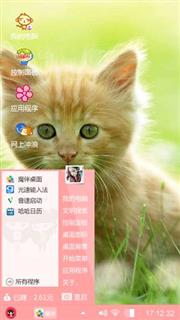 小猫