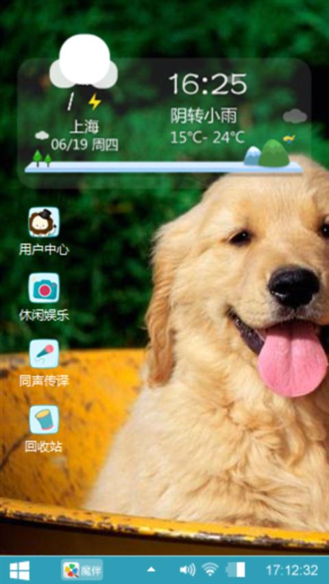 金毛三兄弟
