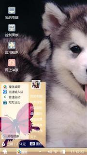 萨摩耶的回忆