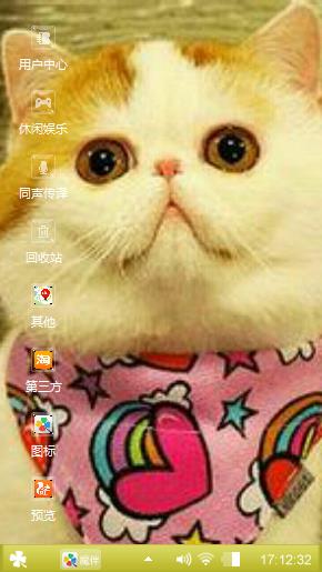 大脸猫