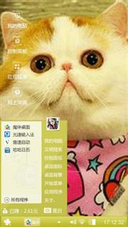 大脸猫