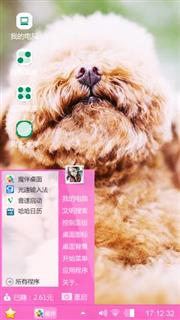 小毛狗