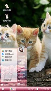 三只萌宠