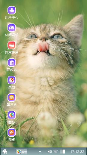 爱猫
