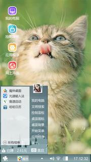 爱猫