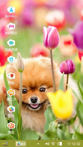 小狗狗