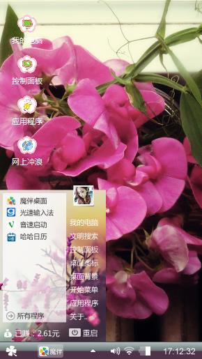 蝴蝶兰