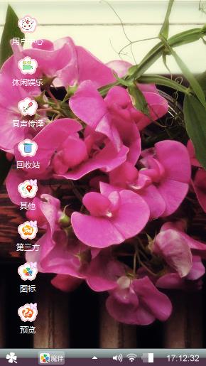 蝴蝶兰