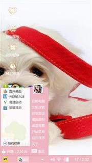 小萌狗