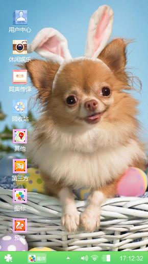 可爱的宠物狗