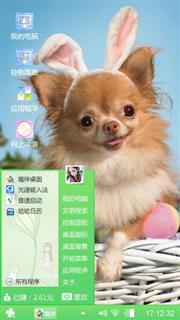 可爱的宠物狗