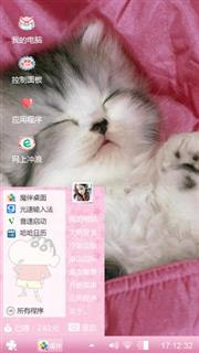 粉红猫猫