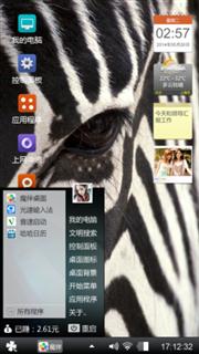 斑马纹