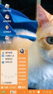 猫咪宝贝