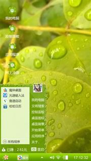 叶子