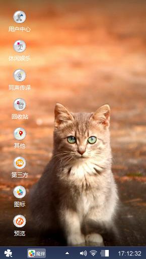 宠物猫咪