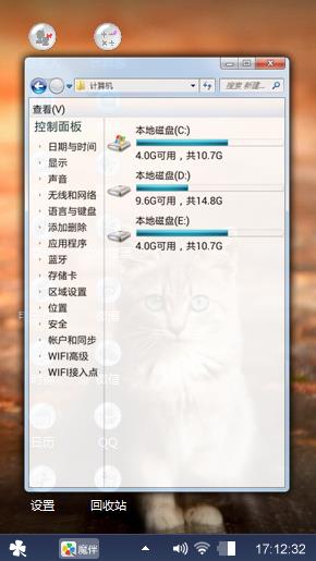 宠物猫咪