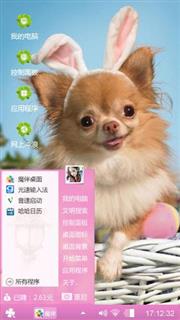 卖萌的小狗