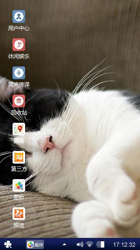 萌猫