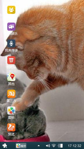 猫咪吃饭饭