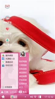 宠物