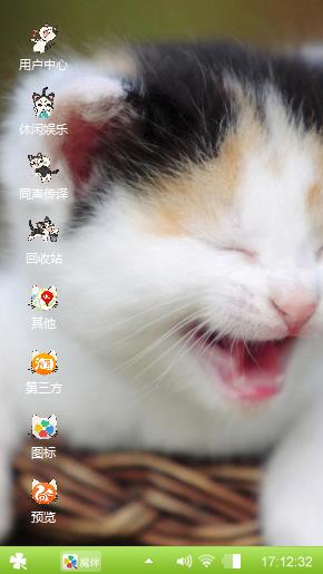 可爱猫咪