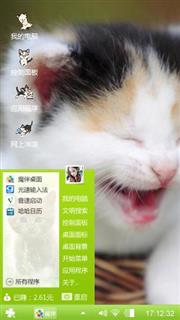 可爱猫咪