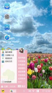 郁金香花海
