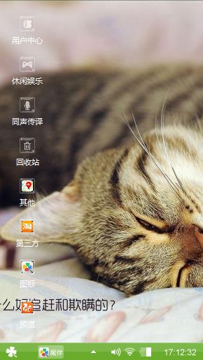 猫咪