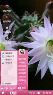 仙人球花