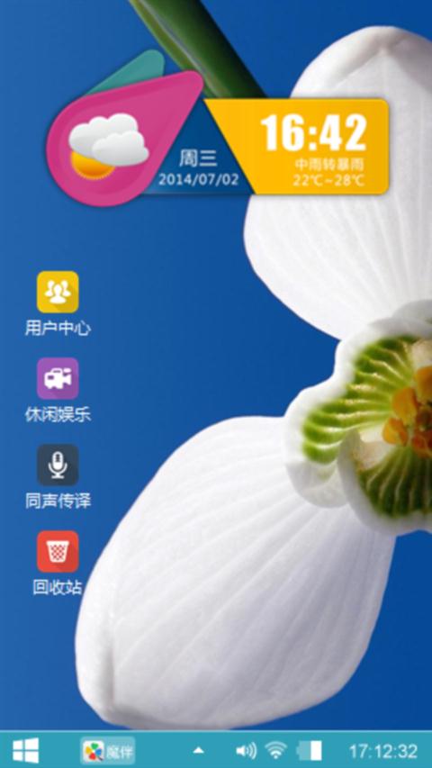 蝴蝶兰